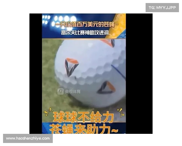 苍蝇意外助攻高尔夫球手 91万美元奖金因微小碰撞诞生 苍蝇意外助攻高尔夫球手 91万美元奖金因微小碰撞诞生